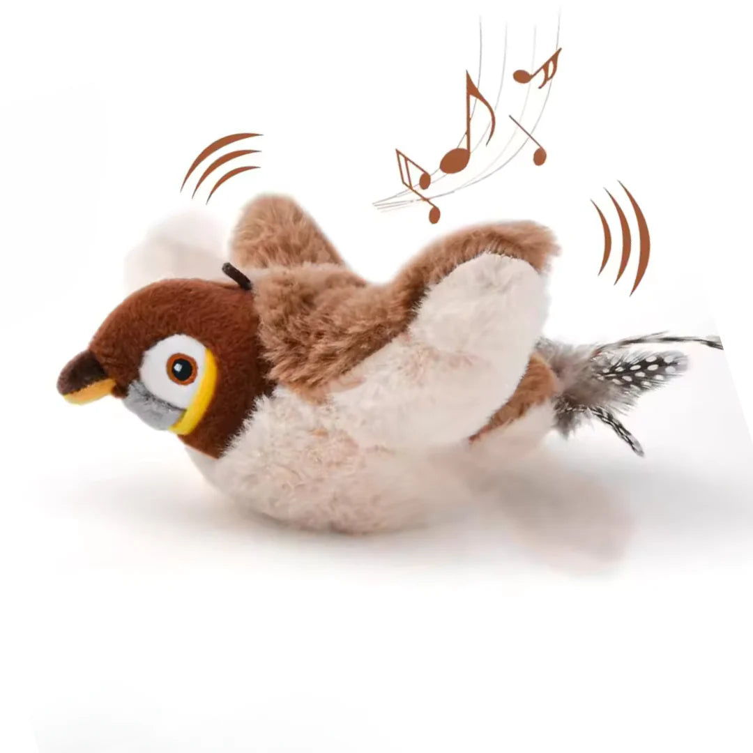 Bird Cat