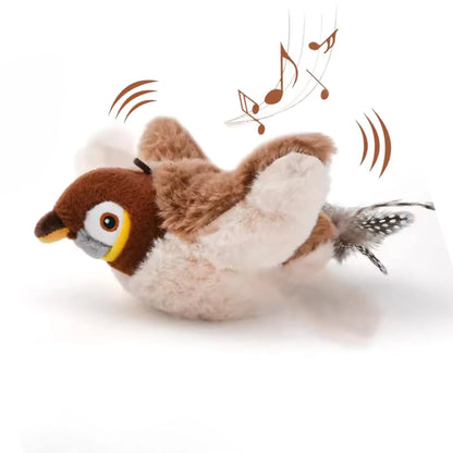 Bird Cat